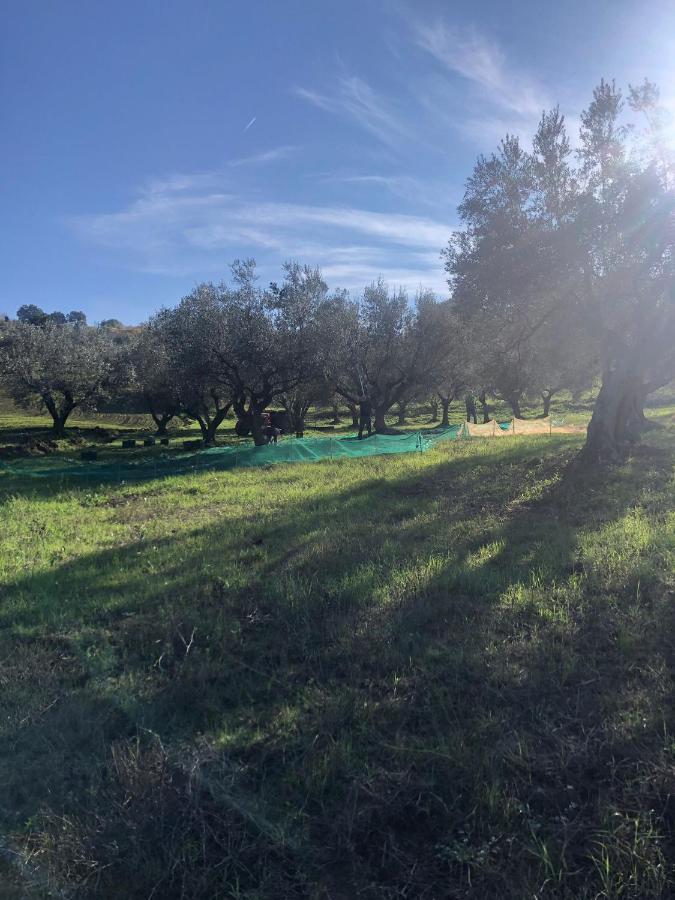 Cermignano B&B La Casa Di Giuliana מראה חיצוני תמונה