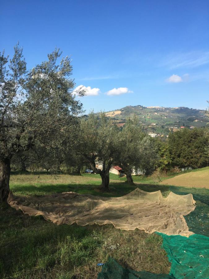 Cermignano B&B La Casa Di Giuliana מראה חיצוני תמונה