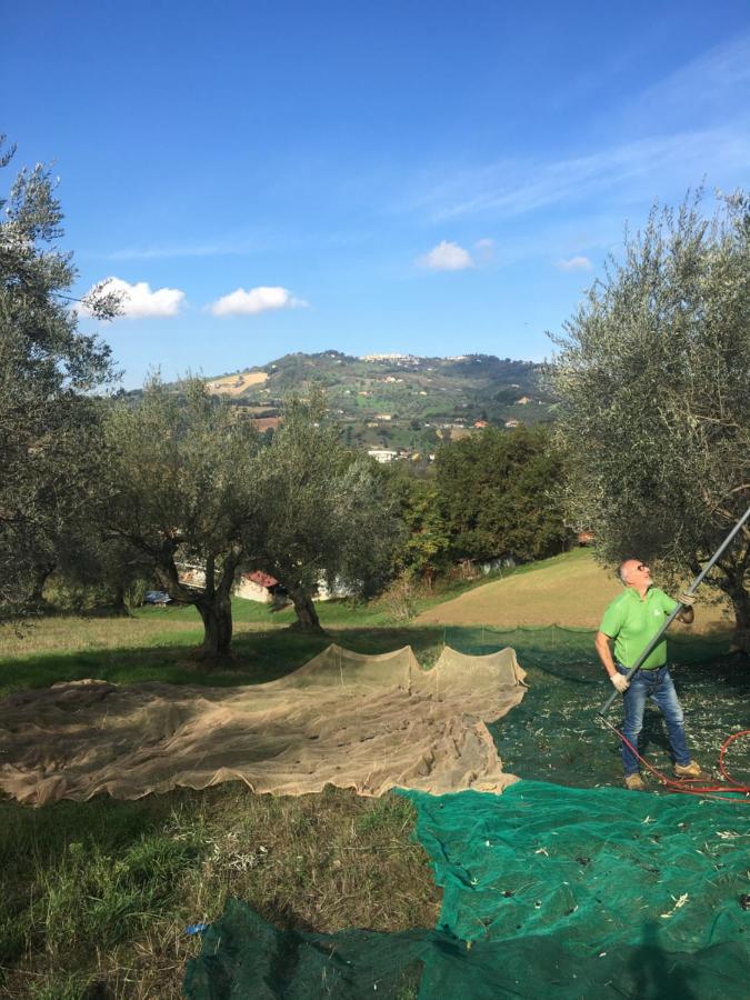 Cermignano B&B La Casa Di Giuliana מראה חיצוני תמונה