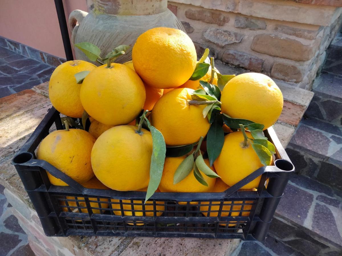 Cermignano B&B La Casa Di Giuliana מראה חיצוני תמונה