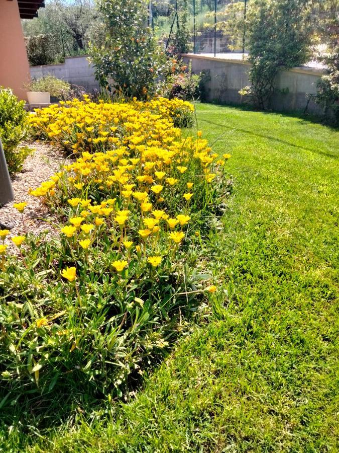 Cermignano B&B La Casa Di Giuliana מראה חיצוני תמונה