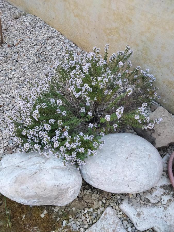 Cermignano B&B La Casa Di Giuliana מראה חיצוני תמונה