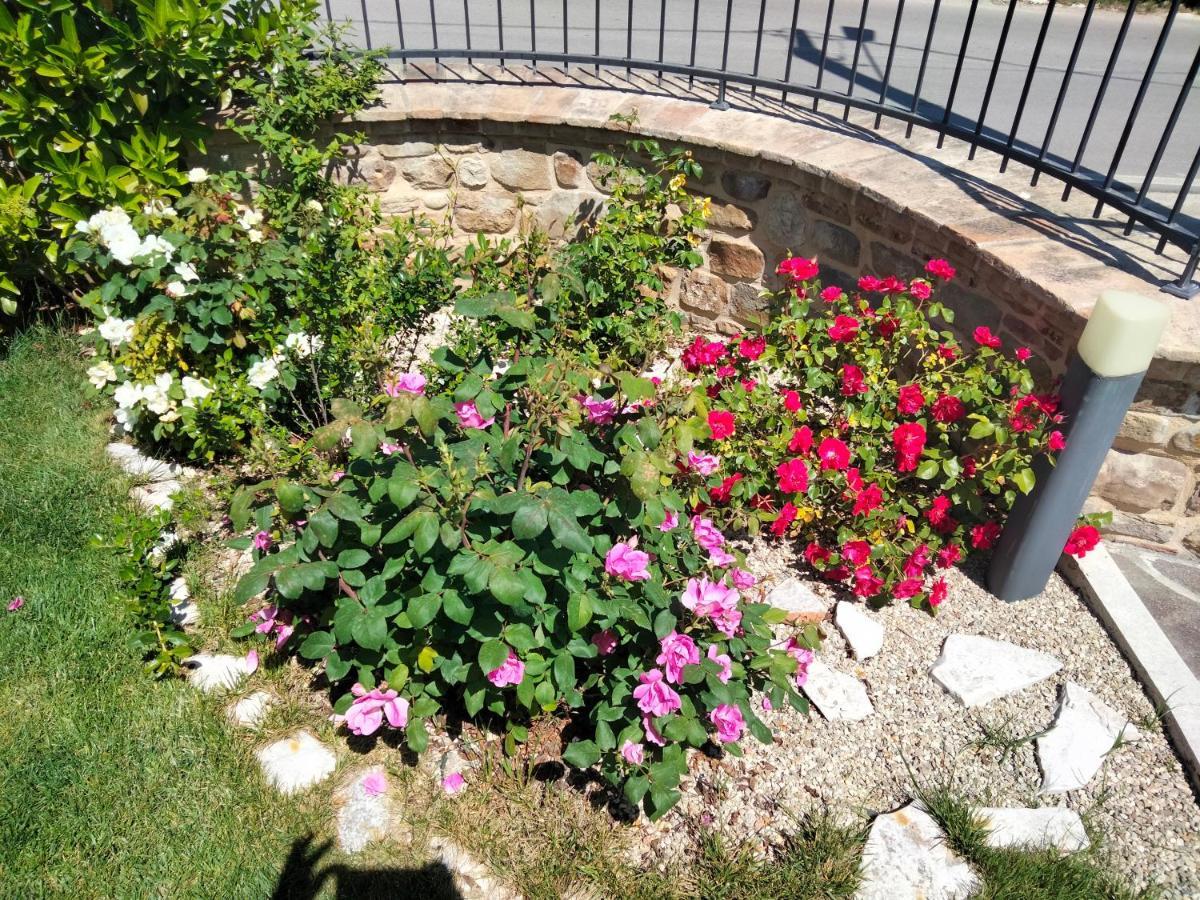 Cermignano B&B La Casa Di Giuliana מראה חיצוני תמונה