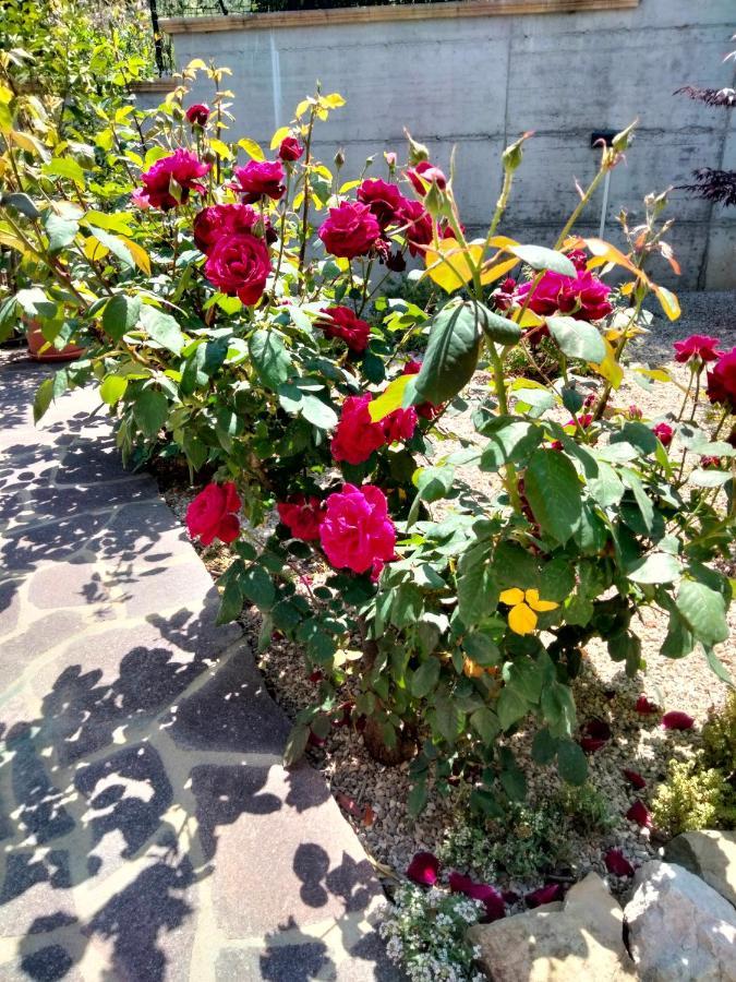 Cermignano B&B La Casa Di Giuliana מראה חיצוני תמונה
