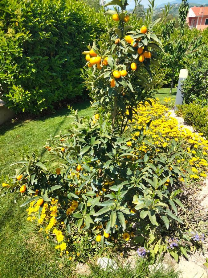 Cermignano B&B La Casa Di Giuliana מראה חיצוני תמונה