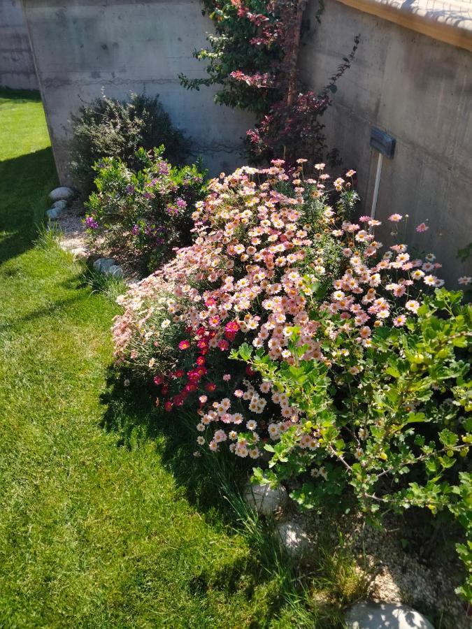 Cermignano B&B La Casa Di Giuliana מראה חיצוני תמונה